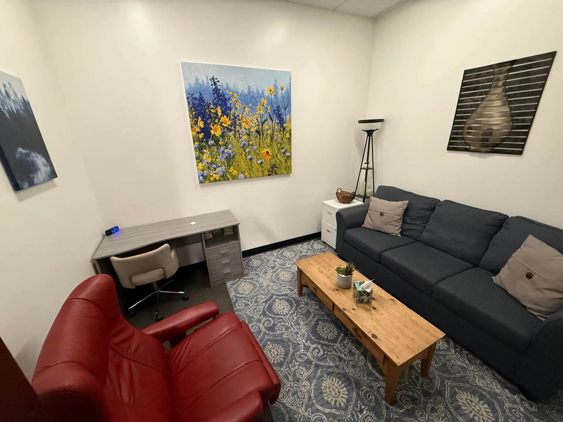 A therapy room in Roseville